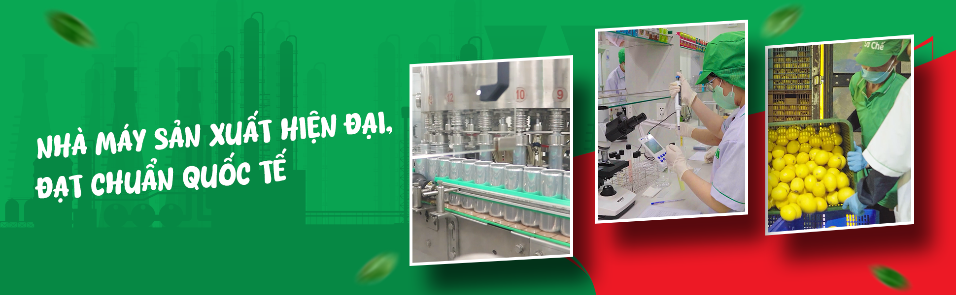 nước giải khát JOY, nước giải khát, sản xuất nước giải khát, xuất khẩu nước giải khát