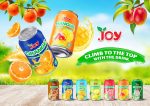 JOY Tropical Flavor Juice Drink 330ml | Boisson de Jus Naturel NFC