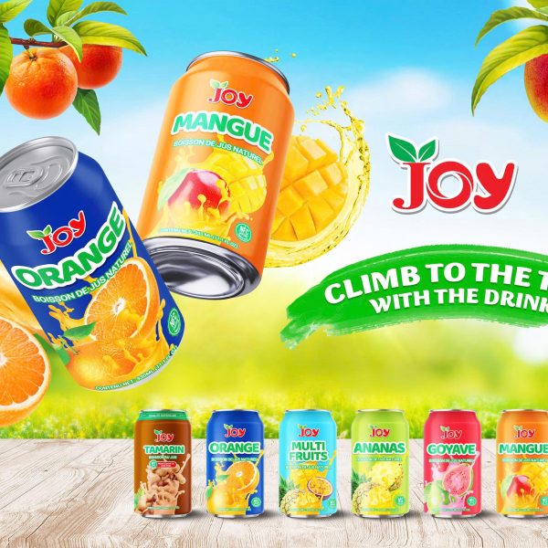 JOY Tropical Flavor Juice Drink 330ml | Boisson de Jus Naturel NFC