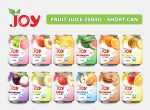 JOY NFC Juice Drink 250ml Short Can - all flavor