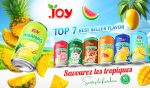 JOY Top 7 Tropical Juice Drink 330ml | Boisson de Jus Naturel NFC